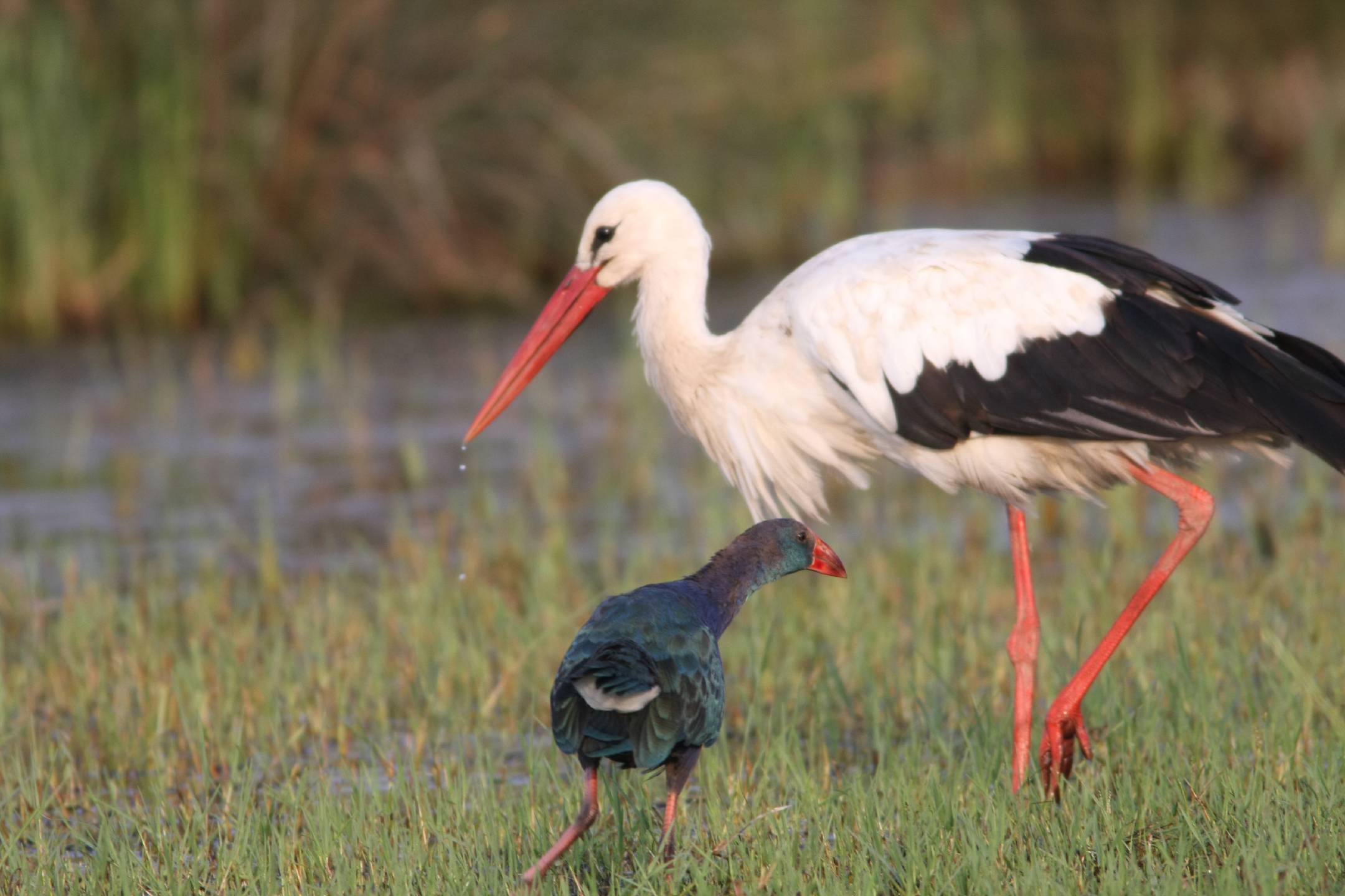 Müfettiş Yardımcılığı Giriş Sınavının Yazılı Bölümüne Katılmaya Hak Kazanan Adaylara İlişkin Duyuru